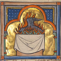 phoenix