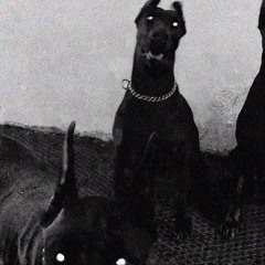 Obito - BIÊN GIỚI LONG BÌNH [ WirtD Remix]