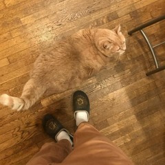 nick mira type beat [FREE]