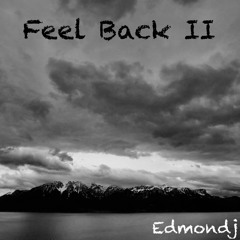 Feel Back II