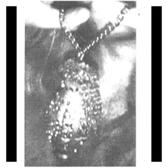 LORD PUSSWHIP - BRJÓTA LÖG