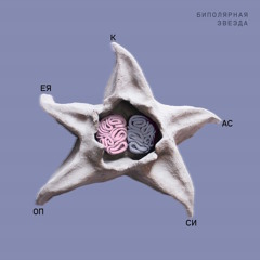 Биполярная звезда