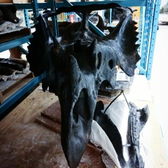 Chasmosaurus Goth