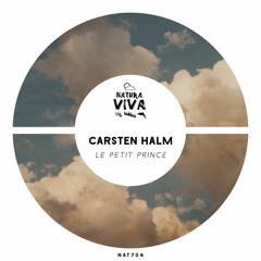 PREMIERE: Carsten Halm - Kreisel (Original Mix) [NATURA VIVA]