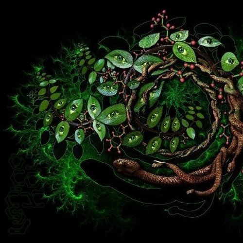 VISHNU OM - The Language Of Jungle (DJ Set)