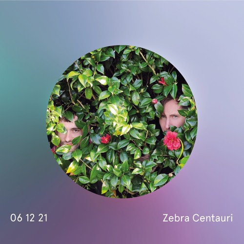 objekt klein a XMAS Kalender Tür #6: Ahoy There! (Zebra Centauris Backyardigans Remix)