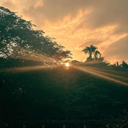 سورة يس| الشيخ عمرو الشرقاوي.