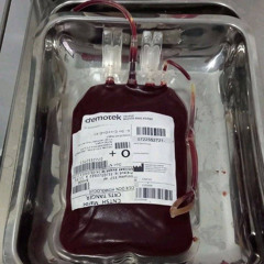 bloodymary II