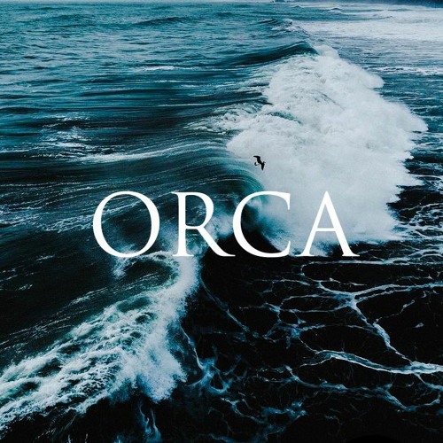 Orca (Original Mix)