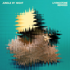 Jungle By Night - Spending Week (Oceanic 'Cornucopia' Remix)