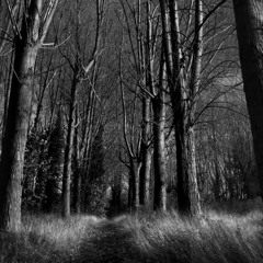 around #sigilxxet (night66)