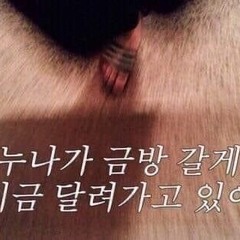 김소희가 자다가 디부로 개 뛰어가는 믹셋