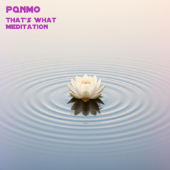 That's What Meditation
