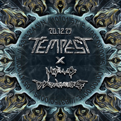 Honigkater @ Tempest Südpol