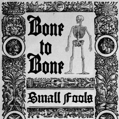 Bone to Bone - Small Fools