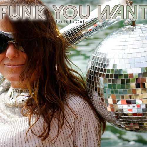 Funk You Want