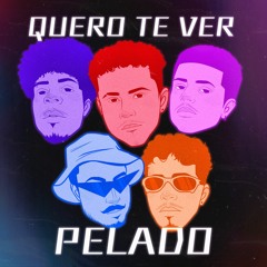 ACORDA PEDRINHO QUERO TE VER PELADO (REMIX) - DJ SWAG DO COMPLEXO, HYPERBAILE, DORNELLES, OLY