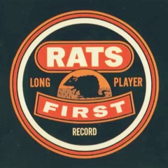 Mainhorse Cowboy & Turtle Dove - Artist 'RATS' - Producer 'QJ' - analogue recording