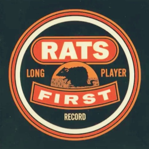 Mainhorse Cowboy & Turtle Dove - Artist 'RATS' - Producer 'QJ' - analogue recording