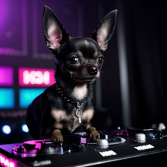 Só de Sacanagem Vol. 2 - Warmup Set