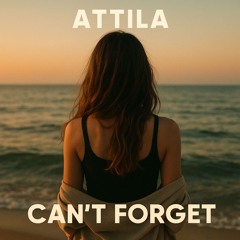 Can't Forget
