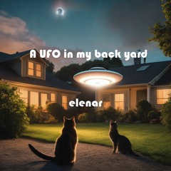 A UFO In My Back Yard