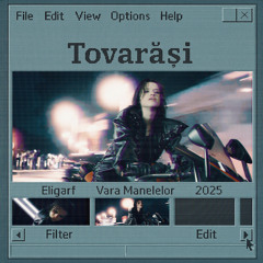 Tovarăși