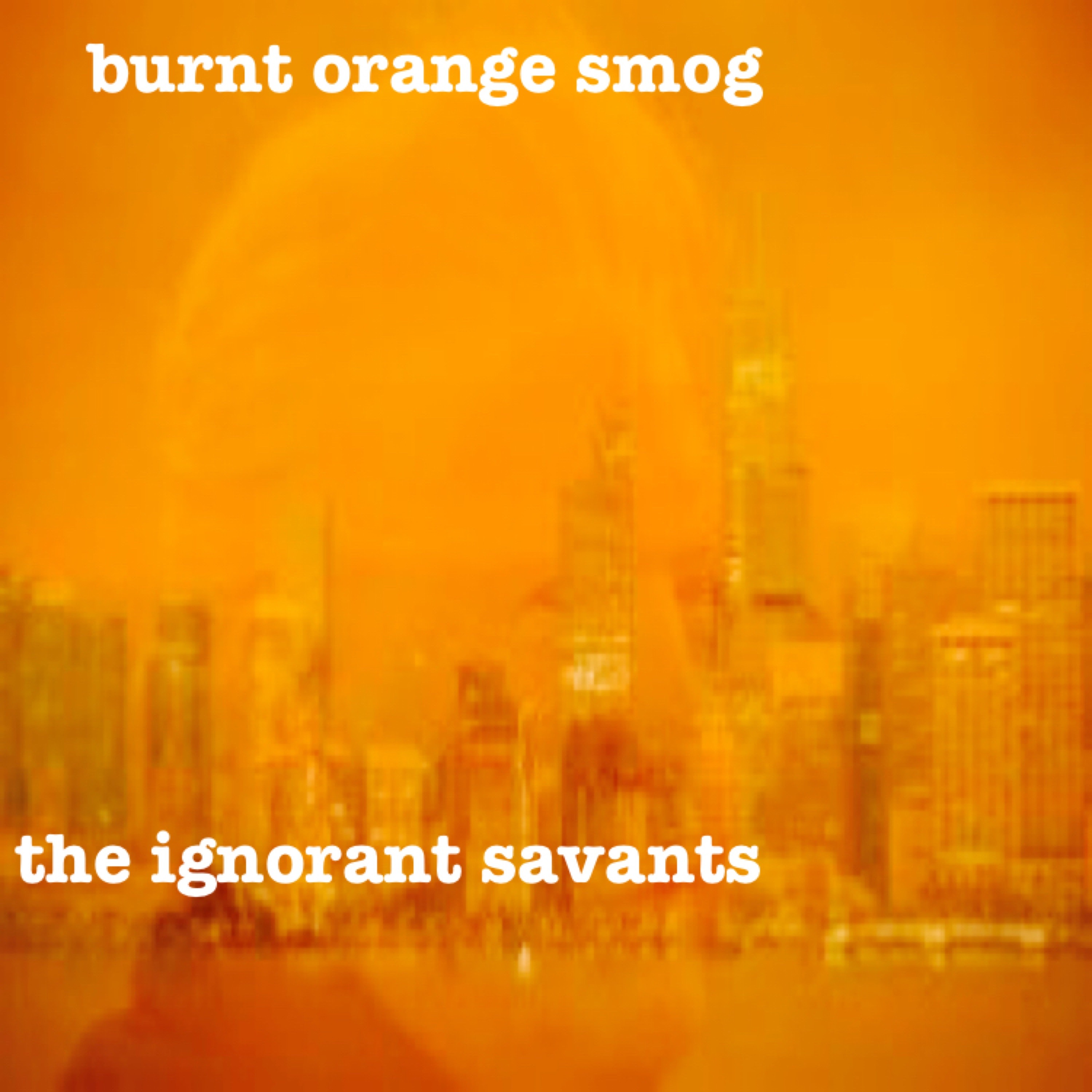 the ignorant savants