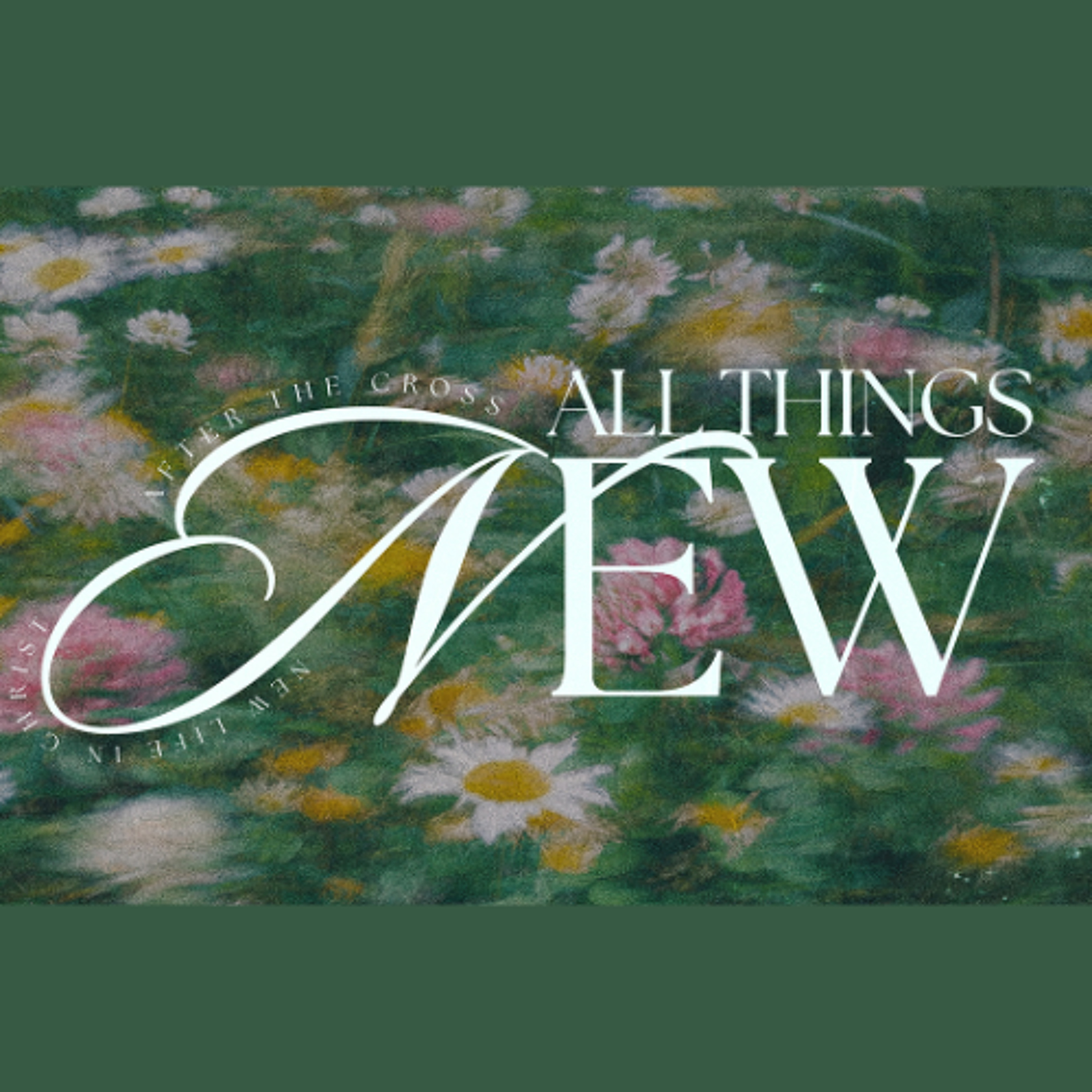 Relevant Church Live