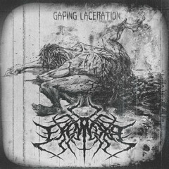 Gaping Laceration