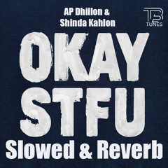 STFU Slowed & Reverb