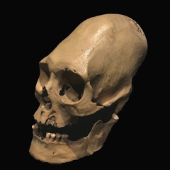 Funk Tribu - Viento ( Tribal Remix )