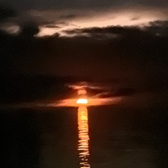 You’re Not Alone.mp3