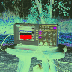 Vox Corporis [var-01]