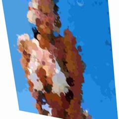 aphex twin windowlicker [smashed up & rebuilt ver]