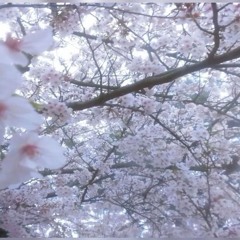 You say (prodbymyriad x claymore)