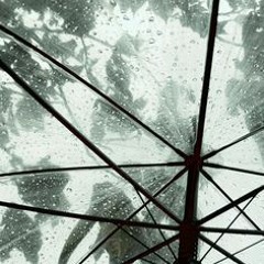 empty (xtasane)