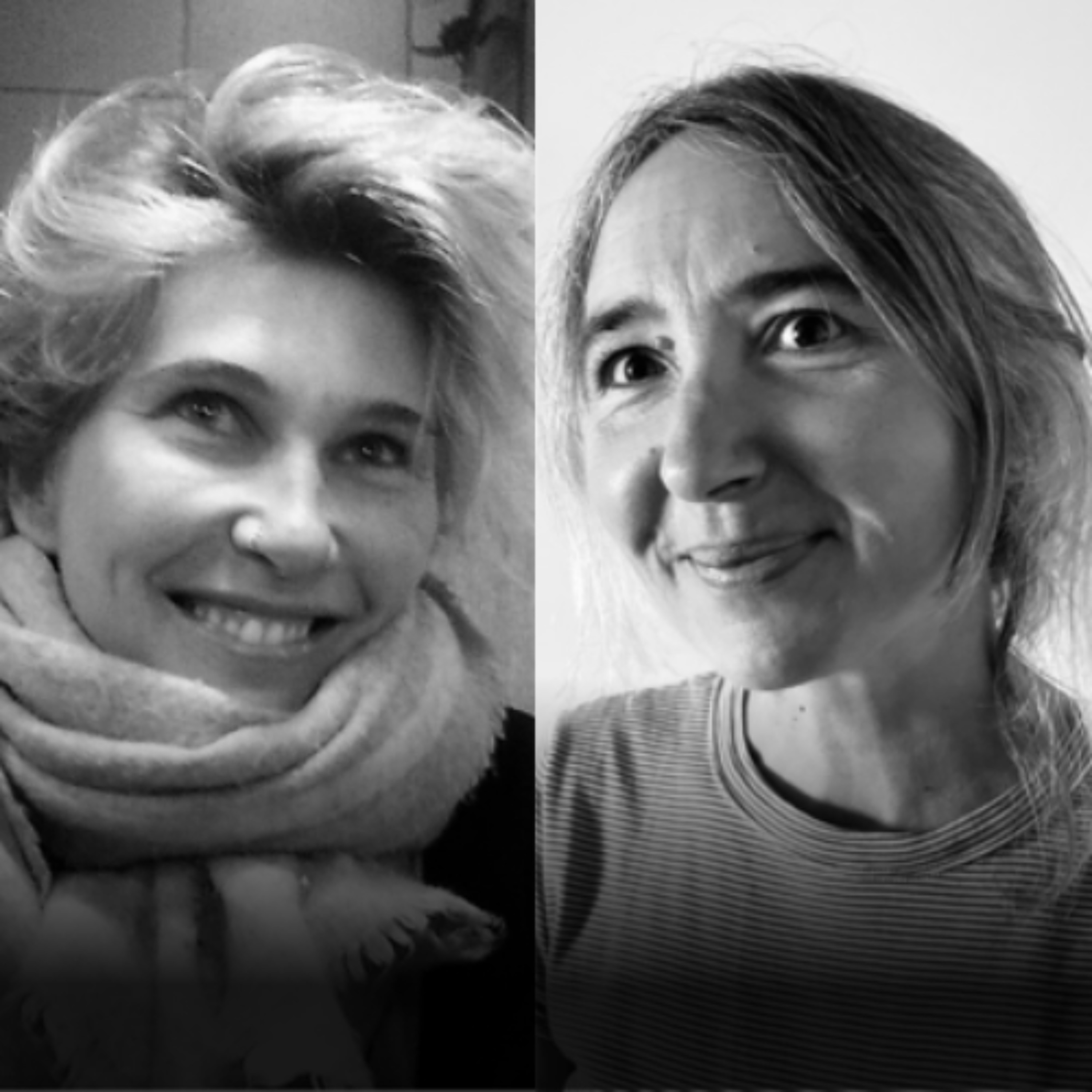 Mazan: anthropologie d'un procès pour viols | Céline Lesourd Perrine Lachenal