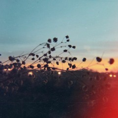 [dahon] Let You Break My Heart Again - Laufey (short piano vocal cover.)