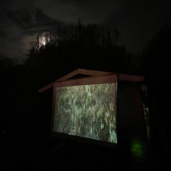 ꩜ ⋆˚ ༘ .ᐟ . ݁*ੈ✩‧₊˚