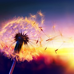Uplifting Trance Mix - June 2025