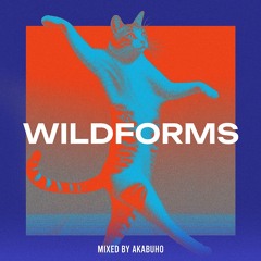 WILDFORMS #3 Mixed By akaBúho