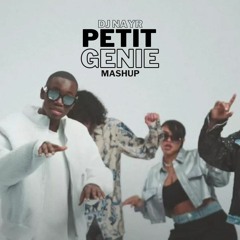 Jungeli ft. Abou Debeing, Imen Es - Petit Genie (DJ Nayr mashup)