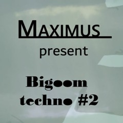 Maximus - Bigroom Techno #2