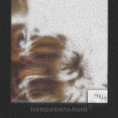 неправильный (автор бита найдись)