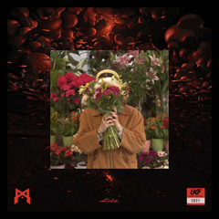 Járatlan X Still