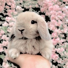 Ｂｕｎｎｙ ｂｕｎｎｙ ｂｕｎｎｙ - (ｓｌｏｗｅｄ)