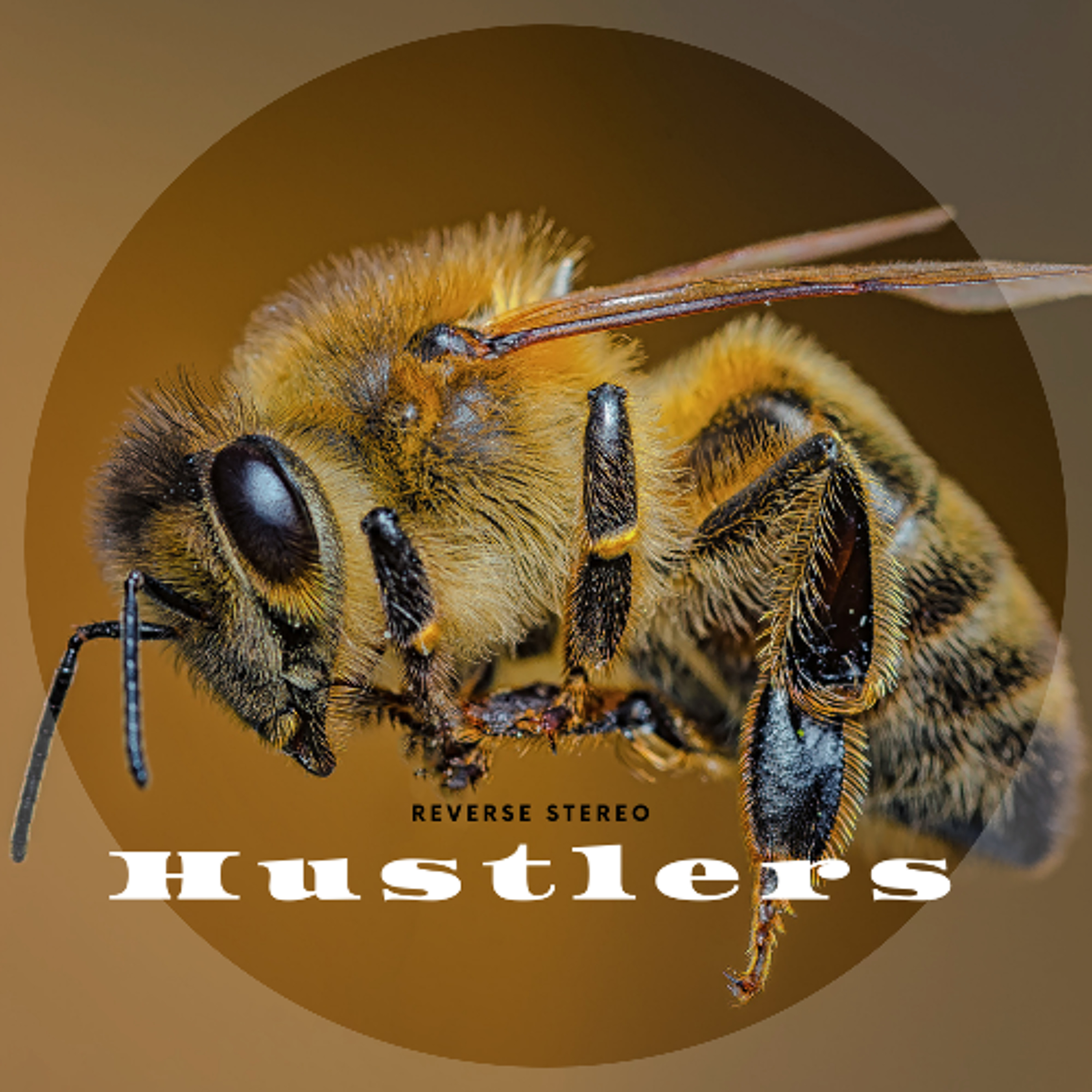 Hustlers episode artwork