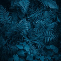 Worakls - Nocturne @ Moscow'21.mp3