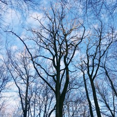 Broke (Modest Mouse Cover)